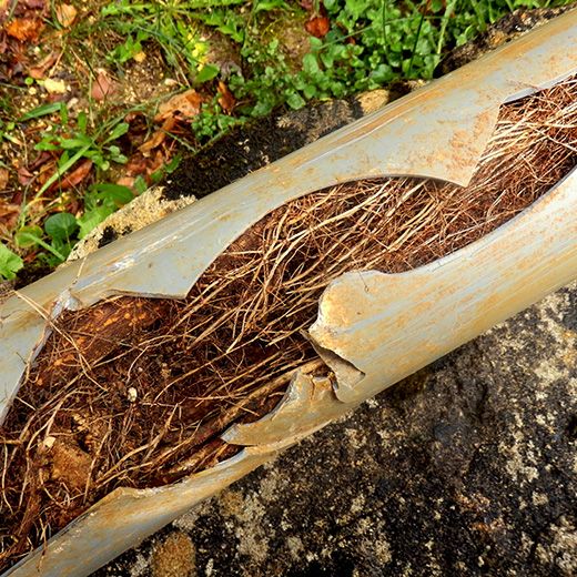 The Drain & Sewer Professionals In Edinburgh